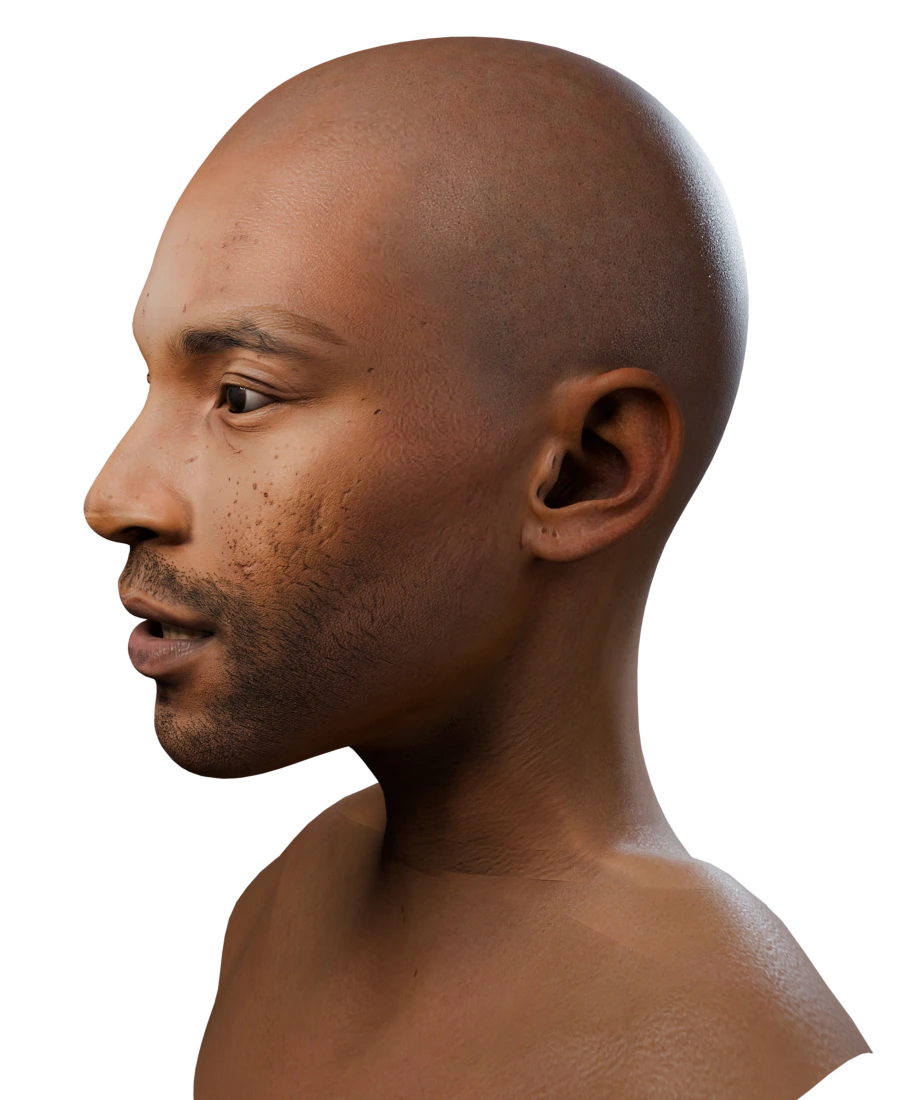 Same head with fitted neck and shoulders