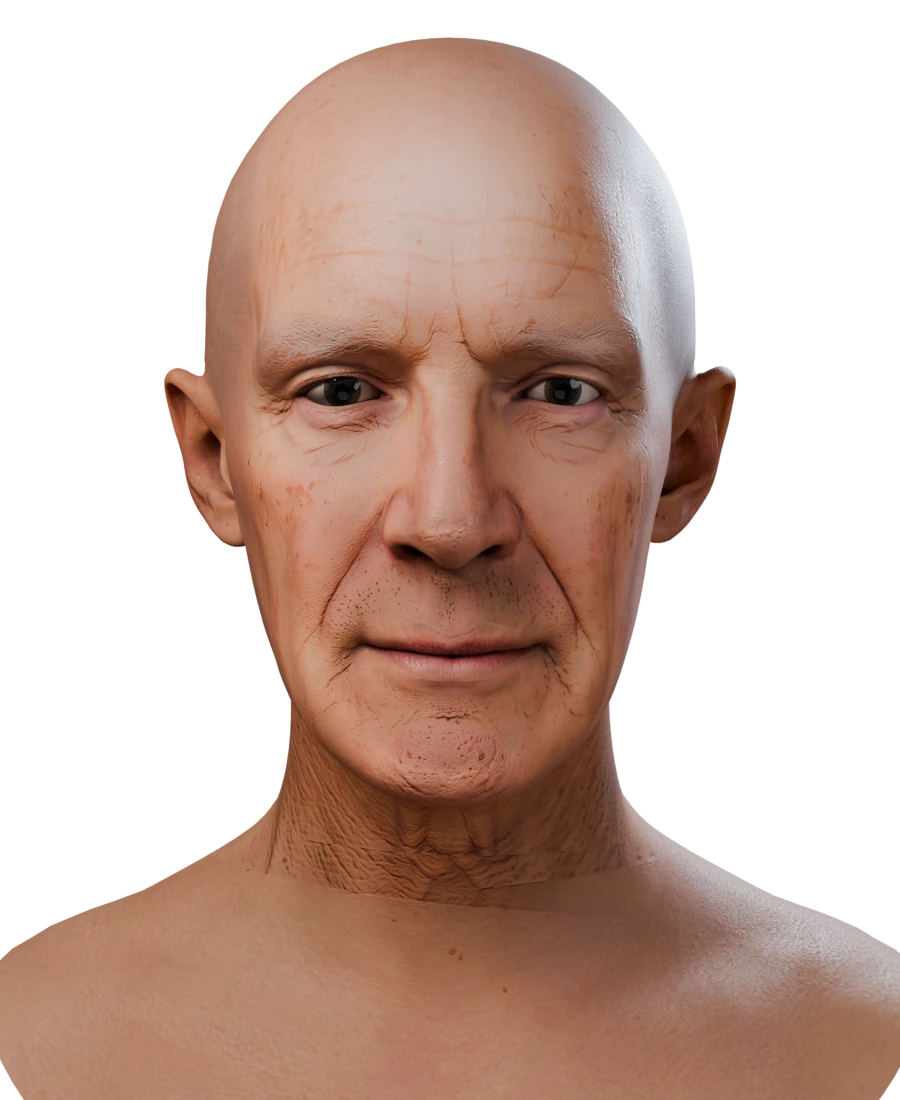 Head on the default slim template neck