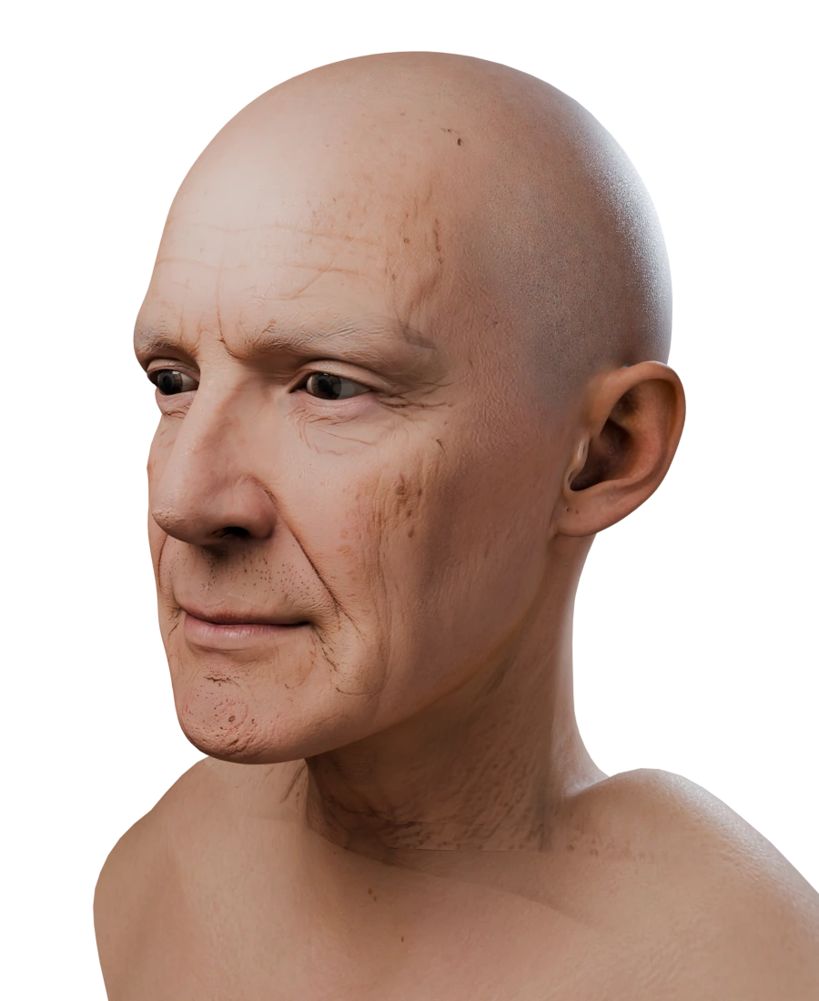 3D head of a synthetic elderly man, built by FaceNinja from one photo